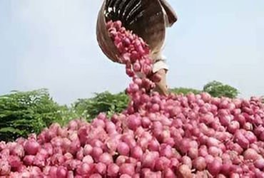 મહુવાના ડુંગળીના વેપારી સાથે રૃા.7.73 લાખની 2 શખ્સે ઠગાઈ આચરી