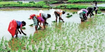 અલ નીનો અસર : ભારતમાં ચોમાસુ 40% નબળું, પાક અને અર્થતંત્ર માટે જોખમ | El Nino effect : Monsoon in In…