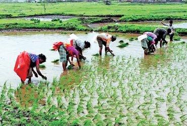 અલ નીનો અસર : ભારતમાં ચોમાસુ 40% નબળું, પાક અને અર્થતંત્ર માટે જોખમ | El Nino effect : Monsoon in In…