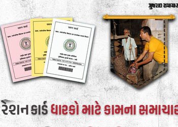 રેશન કાર્ડ ધારકો હવે ગમે તે રેશનની દુકાન પરથી અનાજ લઈ શકશે, લાંબી લાઈનોની ઝંઝટથી મુક્તિ | government…