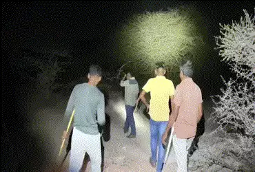જામનગર નજીક મોખાણા ગામની સીમમાં દીપડો દેખાતાં ગ્રામજનોમાં ભયનો માહોલ : ફોરેસ્ટ વિભાગે હાથ ધરી શોધખોળ…