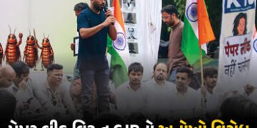 ‘ડાયપર દાન કરો’ અભિયાન! NEET પેપર લીક વિરૂદ્ધ કોકરોચ જનતા પાર્ટીનો અનોખો વિરોધ, શિક્ષણ મંત્રીના રાજી…
