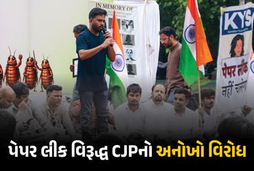 ‘ડાયપર દાન કરો’ અભિયાન! NEET પેપર લીક વિરૂદ્ધ કોકરોચ જનતા પાર્ટીનો અનોખો વિરોધ, શિક્ષણ મંત્રીના રાજી…