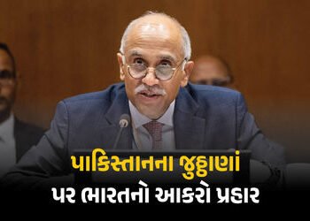 પાકિસ્તાનની બોલતી બંધ: સંયુક્ત રાષ્ટ્રમાં ભારતે કાશ્મીર મુદ્દે આપ્યો જડબાતોડ જવાબ | India Slams Paki…