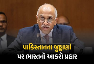 પાકિસ્તાનની બોલતી બંધ: સંયુક્ત રાષ્ટ્રમાં ભારતે કાશ્મીર મુદ્દે આપ્યો જડબાતોડ જવાબ | India Slams Paki…