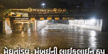 VIDEO: મુંબઈમાં ચોમાસાની તોફાની એન્ટ્રી, 24 કલાકમાં 300 મીમી વરસાદ, રેલવે ટ્રેક ડૂબ્યા, આખું શહેર જળ…