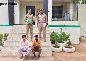અમરેલી: સિંહ પજવણી બાદ સોશિયલ મીડિયામાં પ્રસિદ્ધિ માટે વીડિયો વાઈરલ કર્યો, વનવિભાગે 2 યુવકોને ઝડપી પ…