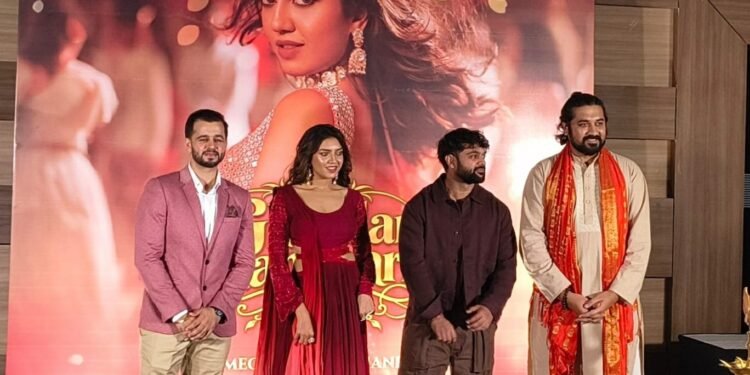 અભિનય, ડાન્સ અને આકર્ષક સ્ક્રીન પ્રેઝન્સ સાથે નવરાત્રિમાં જોવા મળશે મેઘનાનો નવો અંદાજ