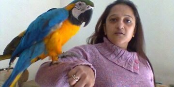 રંગભૂમિથી સર્વભૂમિની અર્ચનાયાત્રા